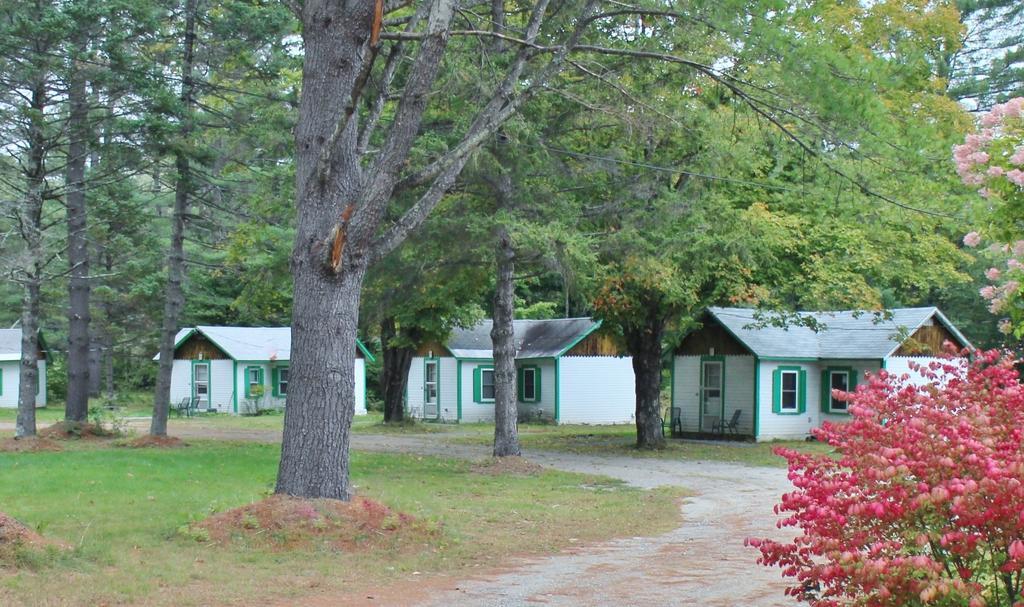 Pine Valley Cabins Thornton ห้อง รูปภาพ