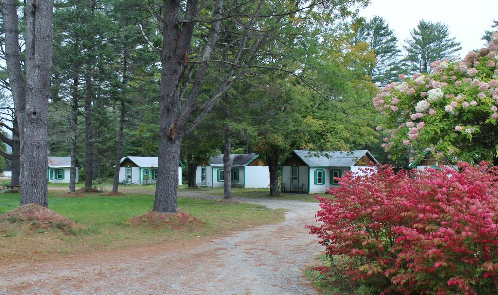 Pine Valley Cabins Thornton ภายนอก รูปภาพ