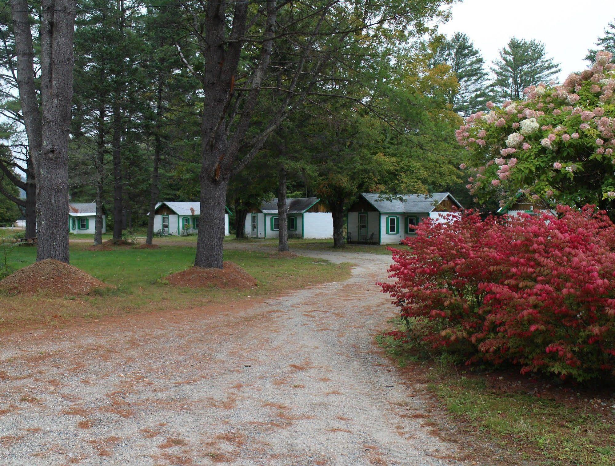 Pine Valley Cabins Thornton ภายนอก รูปภาพ