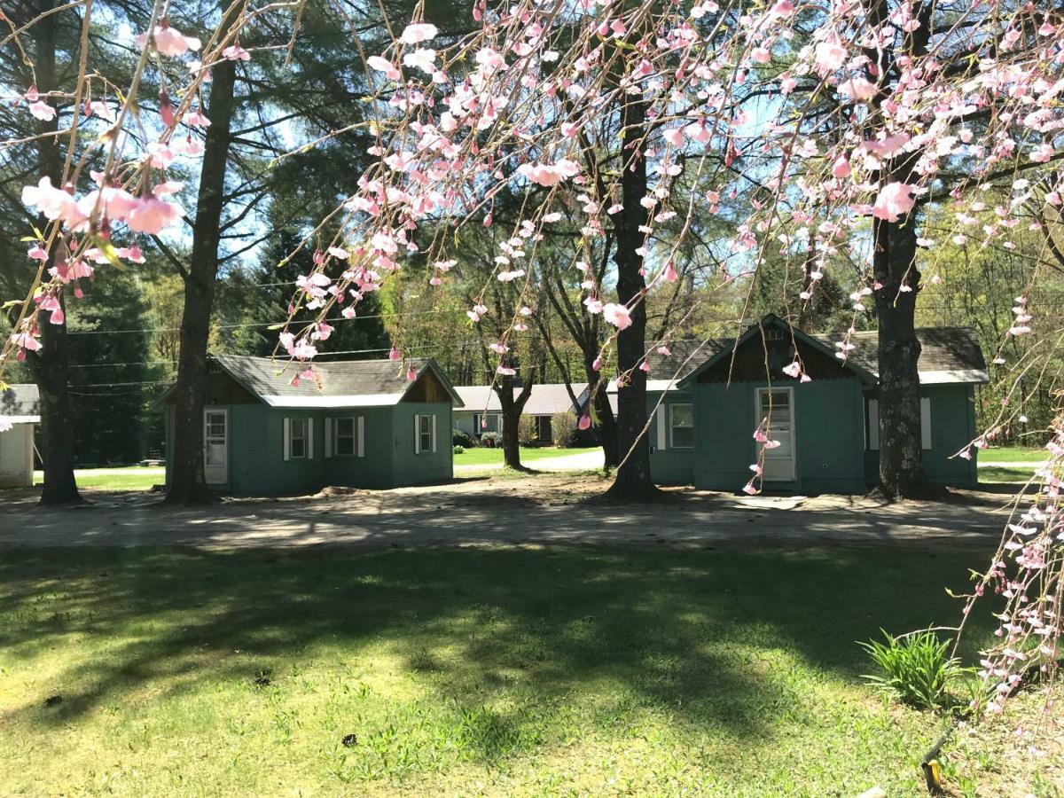 Pine Valley Cabins Thornton ภายนอก รูปภาพ